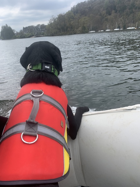 Puppy Survival Thread: muddy footprints into Spring 2022