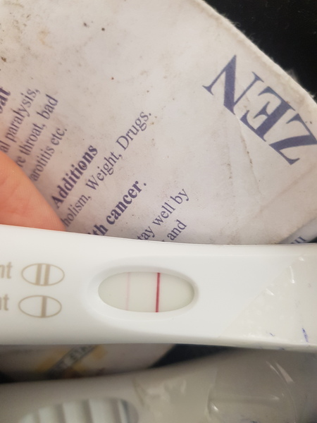 Line eyes 7/8 dpo