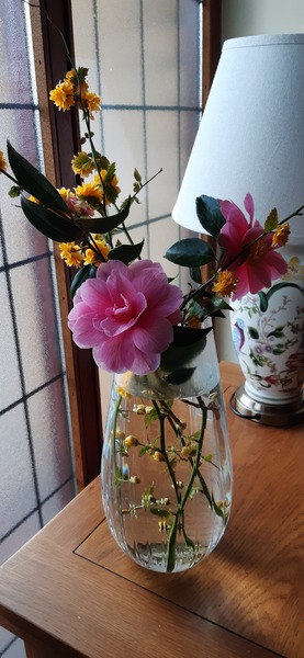 Frugal fun in February - the one with the Spring spring