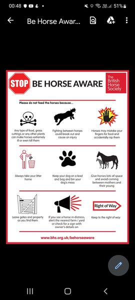 STOP FEEDING HORSES THAT ARE NOT YOURS