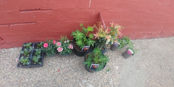 Can i plant things yet?