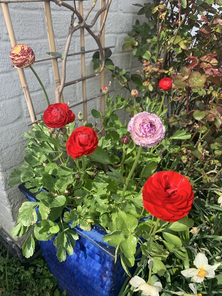 Show Us Your Pictures 6
