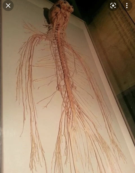 To ask for weird realisations you’ve had about life?