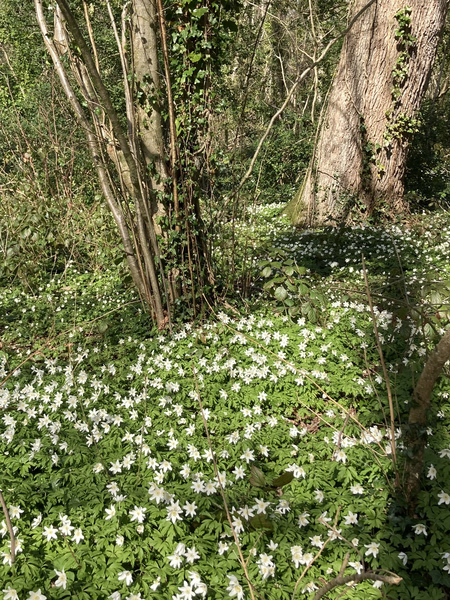 Nature Notes: the 2022 edition