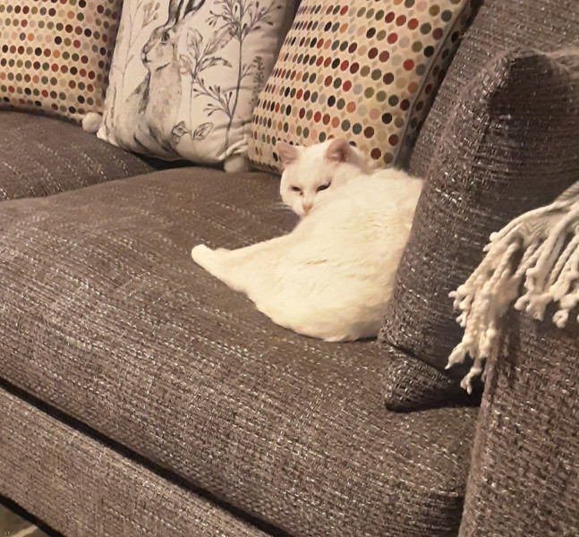 Today is our Cativersary!