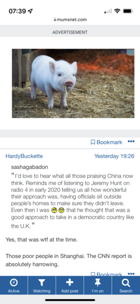 Huge ads not scrolling