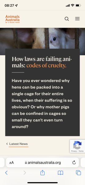 Huge ads not scrolling