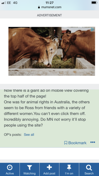 Ads making mumsnet almost unusable?