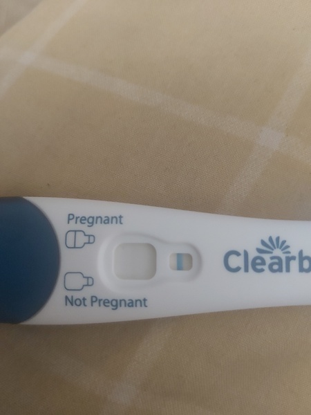 Due December (thread 2) 👯