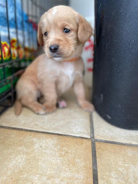 Any names for this beautiful girl
