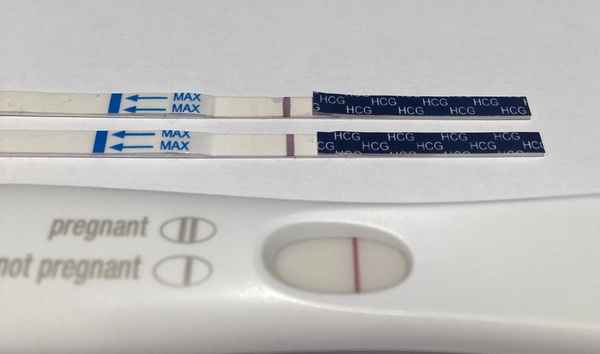 🌈 Ttc after miscarriage thread 7 🌈💕🤞✨