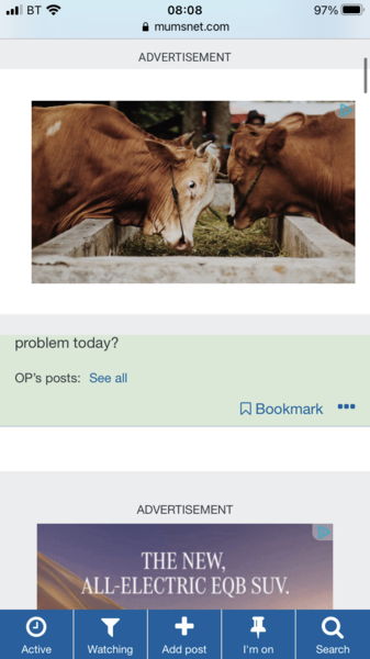 AIBU - what is it with the ads tonight?!