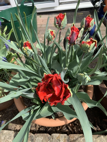 Show Us Your Pictures 6