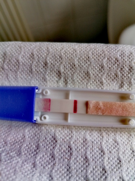 Bfp?