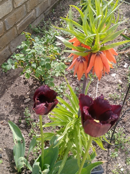 Show Us Your Pictures 6
