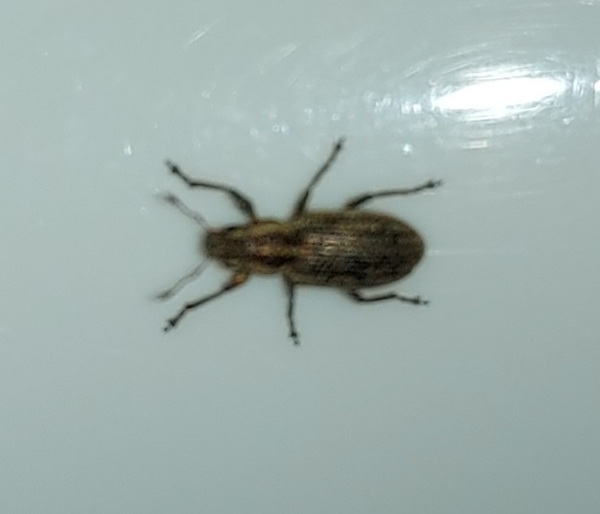 Can anyone ID this?!
