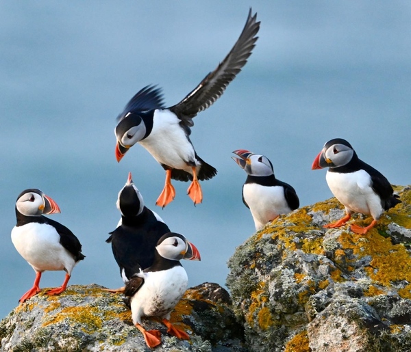 Come and tell me your dull and unexciting news 22: Calmly through the day