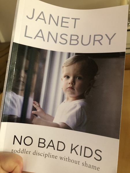 Really struggling with toddlers behaviour