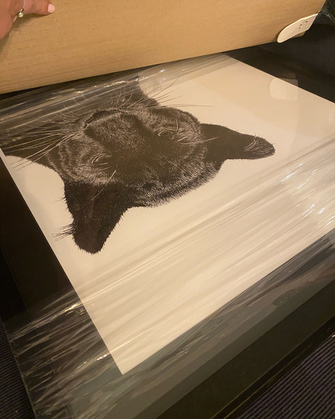 Frugal fun in February - the one with the Spring spring