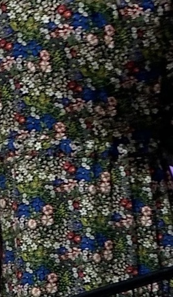 Help me find this ditsy print dress!