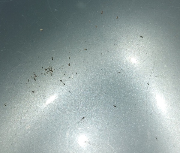 What are these?