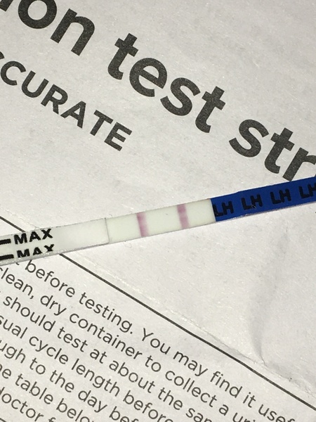 Is this a positive ovulation?