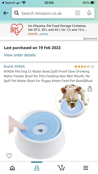4 month pup has stayed to paw his water bowl