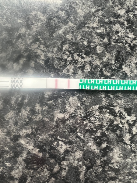 Is this a vvvv faint positive and also a positive opk?!