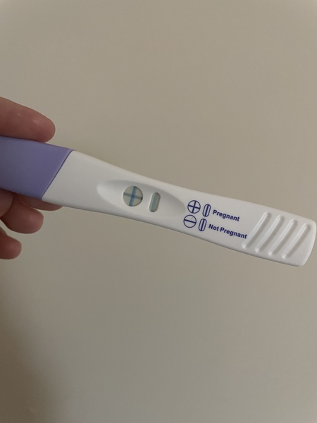 Early pregnancy bleeding