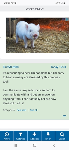 Huge adverts not advertising anything.