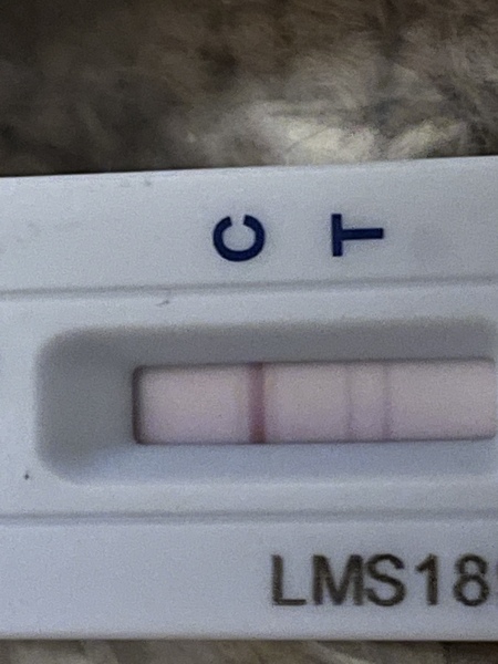 Would you say this was a positive LFT?