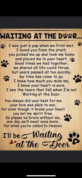 My darling boy died today