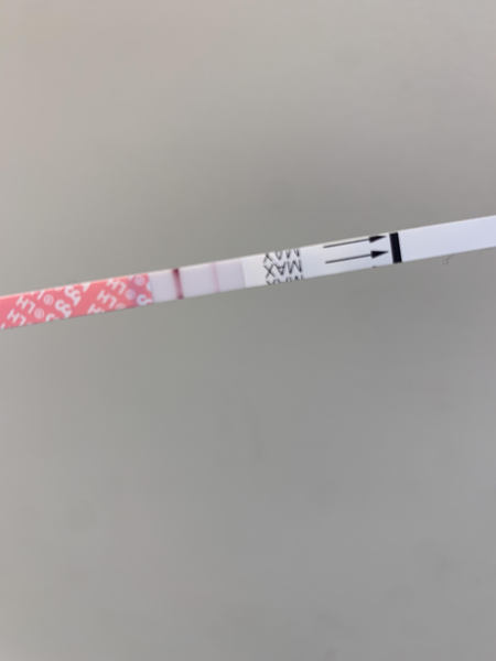 Negative OPK on CD13, is it not happening this month?