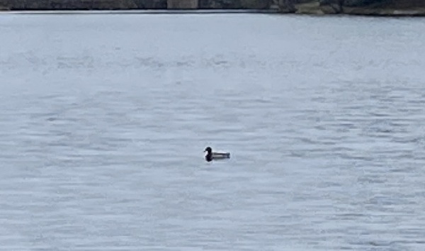 Come and tell me your dull and unexciting news 22: Calmly through the day