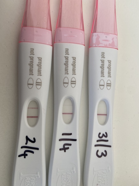 Due December 2022 ❤👶