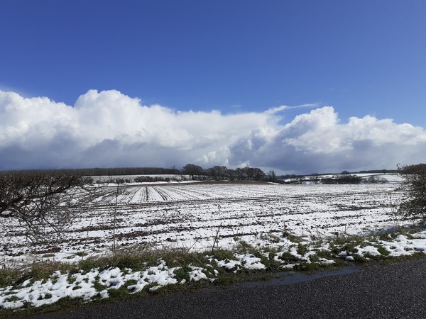 Snow flurries in East London