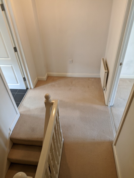 Continuous carpet for stair/hallway or laminate?