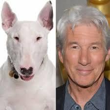 Famous people doppelgängers … I’ll start!