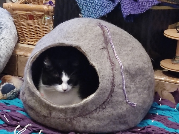 A cat cave