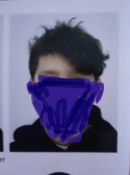 Passport pic Question