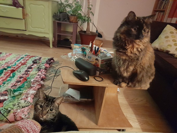 Come on in, chat thread