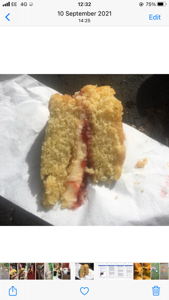 Is this portion too small (pic)??? Should I complain?