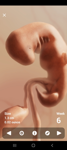 Due December 2022 ❤👶