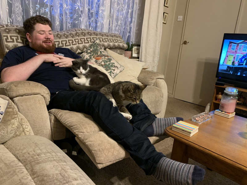 Not my cats and friends