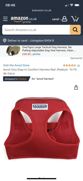 Are harnesses as bad as this person says?
