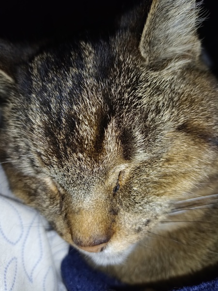 To ask what you’re doing awake post-midnight? Part 3: Return of the Insomnia