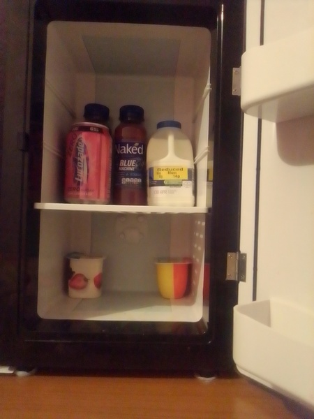 Anybody have a Mini Fridge in their bedroom?