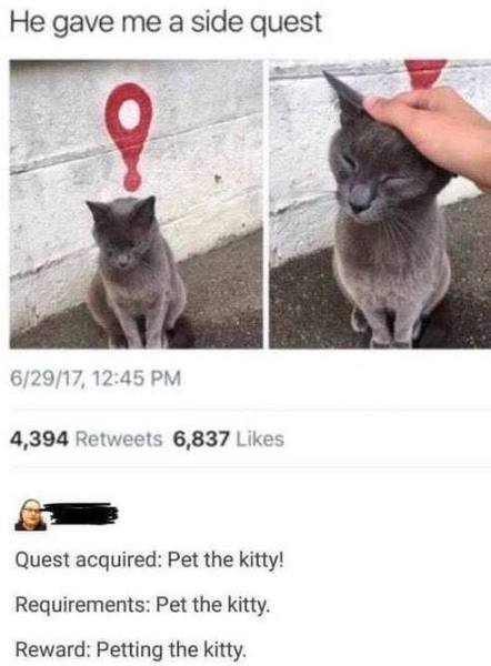 A question for all cat owners (it’s not about poo)