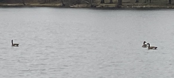 Come and tell me your dull and unexciting news 22: Calmly through the day