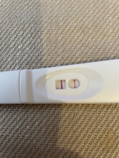 Ovulation post miscarriage